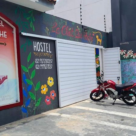 "Le Chat Qui Peche" Hostel A 150 Metros Da Praia De Pajucara Maceió Εξωτερικό φωτογραφία
